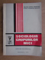Sociologia grupurilor mici. Cercetare bibliografica