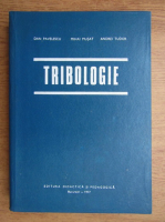 Dan Pavelescu - Tribologie
