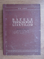V. N. Iung - Bazele tehnologiei liantilor