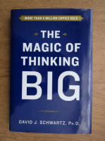 David J. Schwartz - The magic of thinking