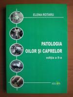 Elena Rotaru - Patologia oilor si caprelor