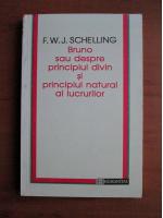 Anticariat: F. W. J. Schelling - Bruno sau despre principiul divin si principiul natural al lucrurilor