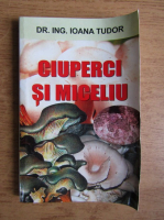 Ioana Tudor - Ciuperci si miceliu