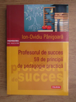 Ion Ovidiu Panisoara - Profesorul de succes. 59 de principii de pedagogie practica