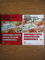 Mihai Ristea - Contabilitatea societatilor comerciale (volumele 1 si 2)