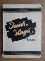Anticariat: N. D. Cocea - Fecior de sluga (1932)