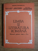 Nicolae I. Nicolae - Limba si literatura romana. Manual pentru clasa a X-a (1993)