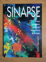 Revista Sinapse, nr. 4, 1996
