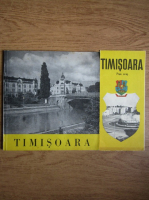 Timisoara (contine harta)