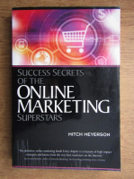 Mitch Meyerson - Success secrets of the online marketing