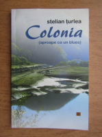 Anticariat: Stelian Turlea - Colonia, aproape ca un blues