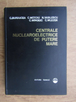Corneliu Burducea, Costin Motoiu - Centrale nuclearoelectrice de putere mare