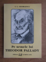 I. L. Georgescu - Pe urmele lui Theodor Pallady