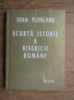 Ioan Ploscaru - Scurta istorie a bisericii romane