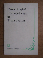 Anticariat: Petru Anghel - Fosnetul verii in Transilvania