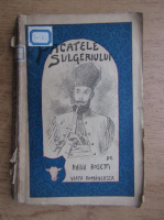 Radu Rosetti - Pacatele sulgeriului (1924)