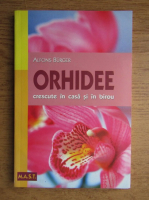 Alfons Burger - Orhidee crescute in locuinta si birou