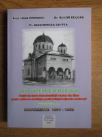 Ioan Popovici - Din durerile Bihorului (volumul 1)