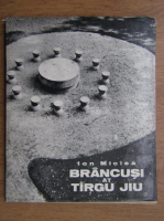Ion Miclea - Brancusi at Targu Jiu
