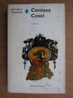 Jozef Ignacy Kraszewski - Contesa Cosel