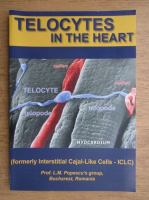 L. M. Popescu - Telocytes in the heart