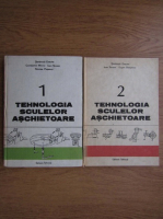 Stefanuta Enache - Tehnologia sculelor aschietoare (2 volume)