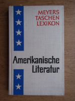 Eberhard Bruning - Meyers Taschen lexikon. Amerikanische Literatur