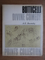 Anticariat: A. E. Baconsky - Botticelli divine comedy