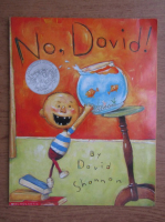 David Shannon - No, David!