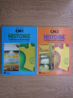 Marc Vincent - Histoire la France au fil du temps (2 volume)