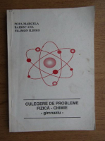 Marcela Popa - Culegere de probleme fizica-chimie