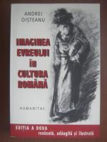 Andrei Oisteanu - Imaginea evreului in cultura romana