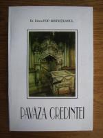 Irineu Pop-Bistriteanul - Pavaza credintei