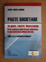 Daniel Sandru - Pacte societare