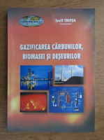 Gazificarea carbunilor, biomasei si deseurilor