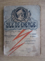 Gheorghe Bagulescu - Zile de energie, impresii si povestiri de pe front (1919)