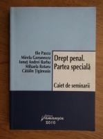 Ilie Pascu - Drept penal. Partea speciala. Caiet de seminarii