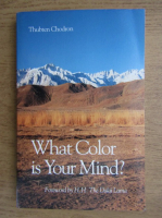 Thubten Chodron - What color is your mind