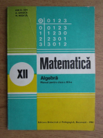 I. D. Ion, Adrian Ghioca, N. I. Nedita - Matematica. Algebra. Manual pentru clasa a XII-a (1984)