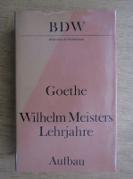 Johann Wolfgang Goethe - Wilhelm meisters