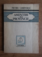 Petru Cimpoesu - Amintiri din provincie
