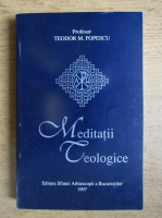 Anticariat: Teodor M. Popescu - Meditatii teologice