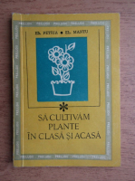 El. Petria - Sa cultivam plante in clasa si acasa