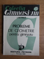 Ion Petrica - Probleme de geometrie pentru gimnaziu (1992)