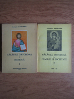 Ioanichie Balan - Calauza ortodoxa in familie si societate (2 volume)