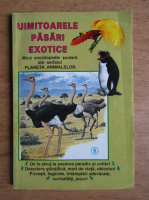 Ion Iordache - Uimitoarele pasari exotice