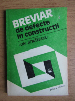 Ion V. Stratescu - Breviar de greseli in constructii