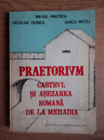 Mihail Macrea, Nicolae Gudea, Iancu Motu - Praetorium. Castrul si asezarea romana de la Mehadia
