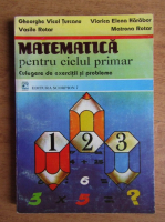Vasile Rotar - Matematica pentru ciclul primar (1996)