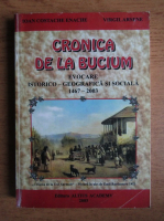 Virgil Arsene - Cronica de la Bucium